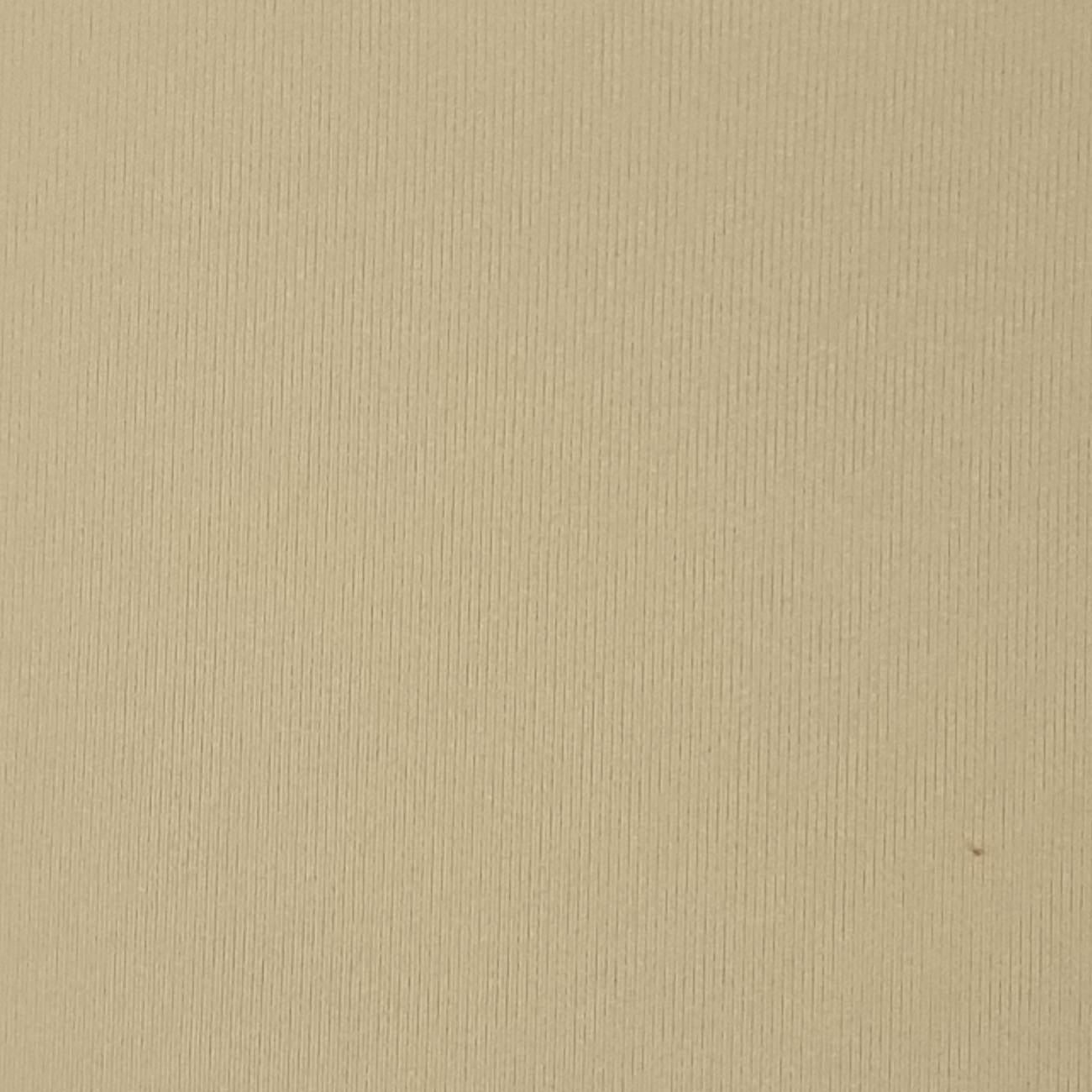 Nylon Spandex Knit - FAB 1386 - 4.Dust