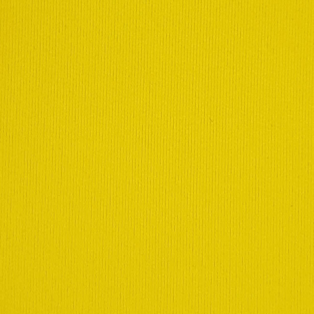 Nylon Spandex Knit - FAB 1386 - 7.Burnt Yellow