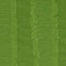 5.Green
