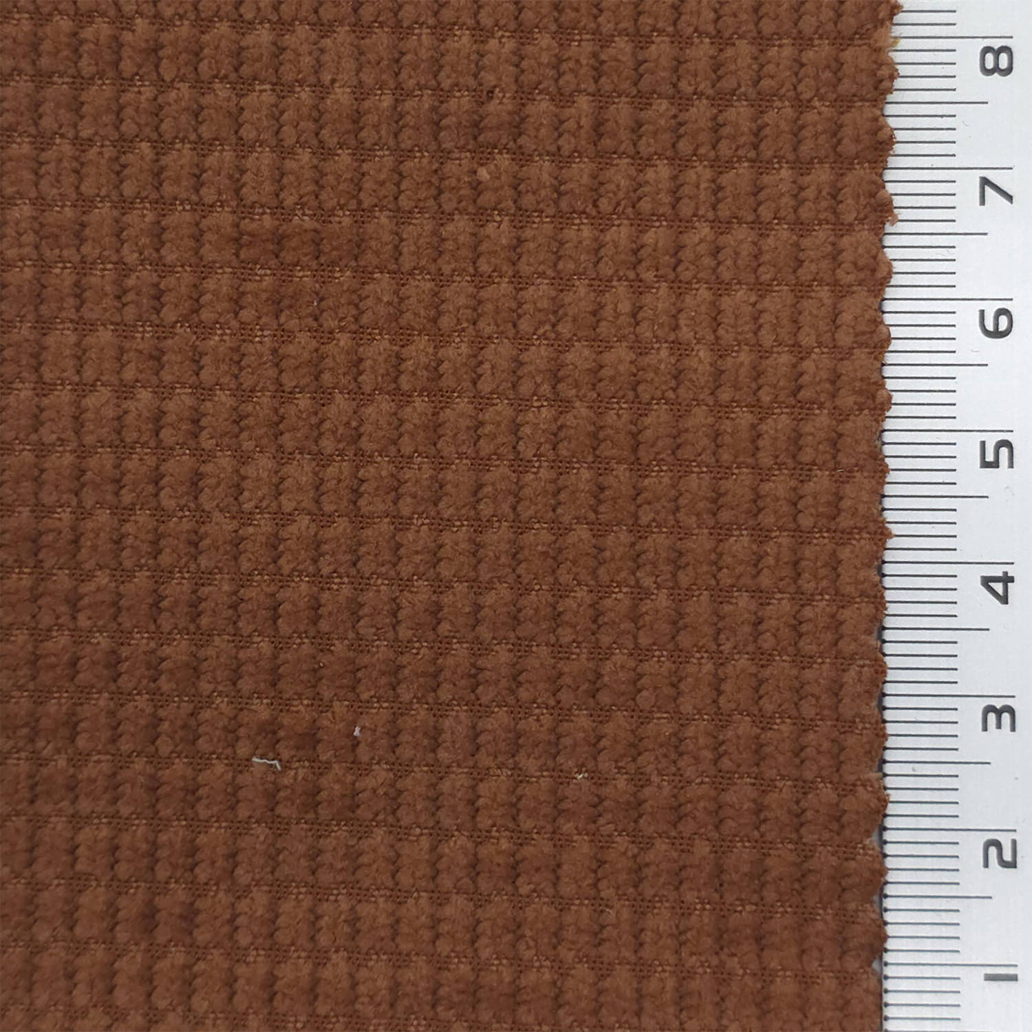1: Warm Gray-2: White-3: Pale Cream-4: Beige-5: Tan - 8 Wale Textured Corduroy Poly Woven Fabric - FAB 1874