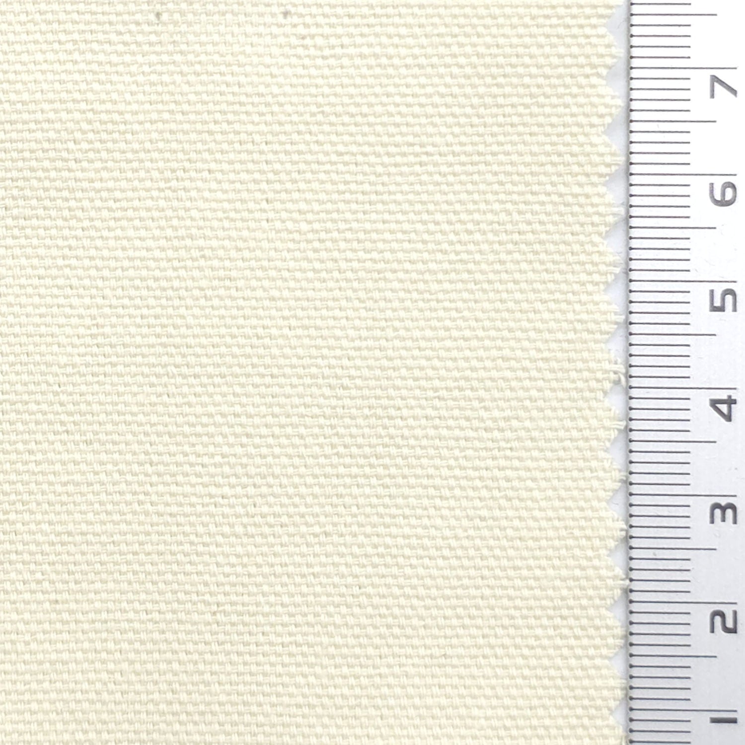 Solid 10 Count Oxford Cotton Woven Fabric - FAB1983 - Ivory