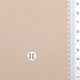 v2-11.Tan