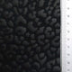 11.Black (Leopard)