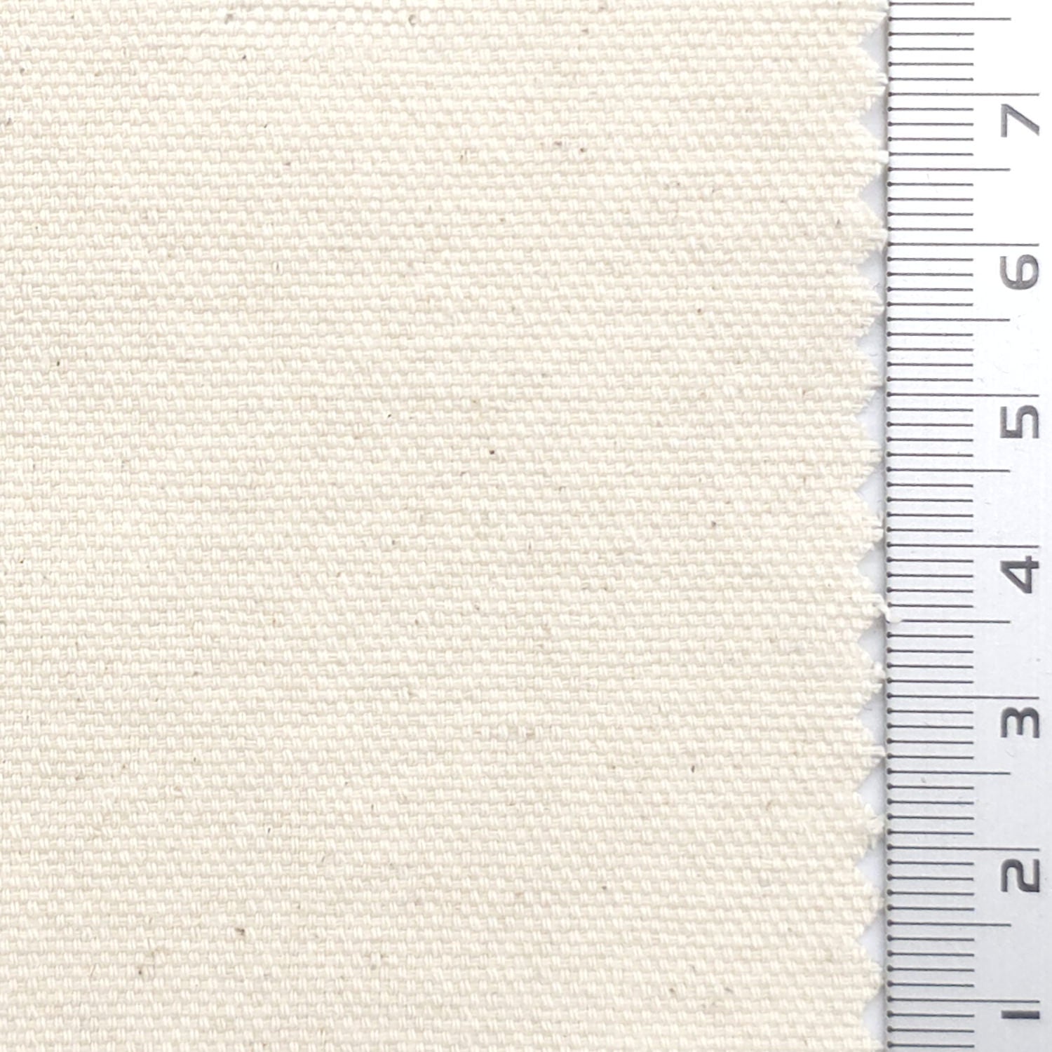 Solid 10 Count Oxford Cotton Woven Fabric - FAB1983 - Off White