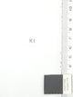11.White