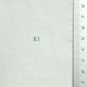 11.White (K1)
