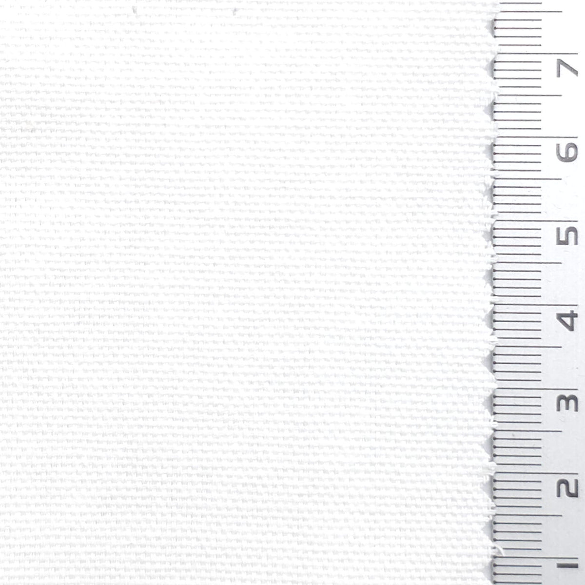 Solid 10 Count Oxford Cotton Woven Fabric - FAB1983 - White