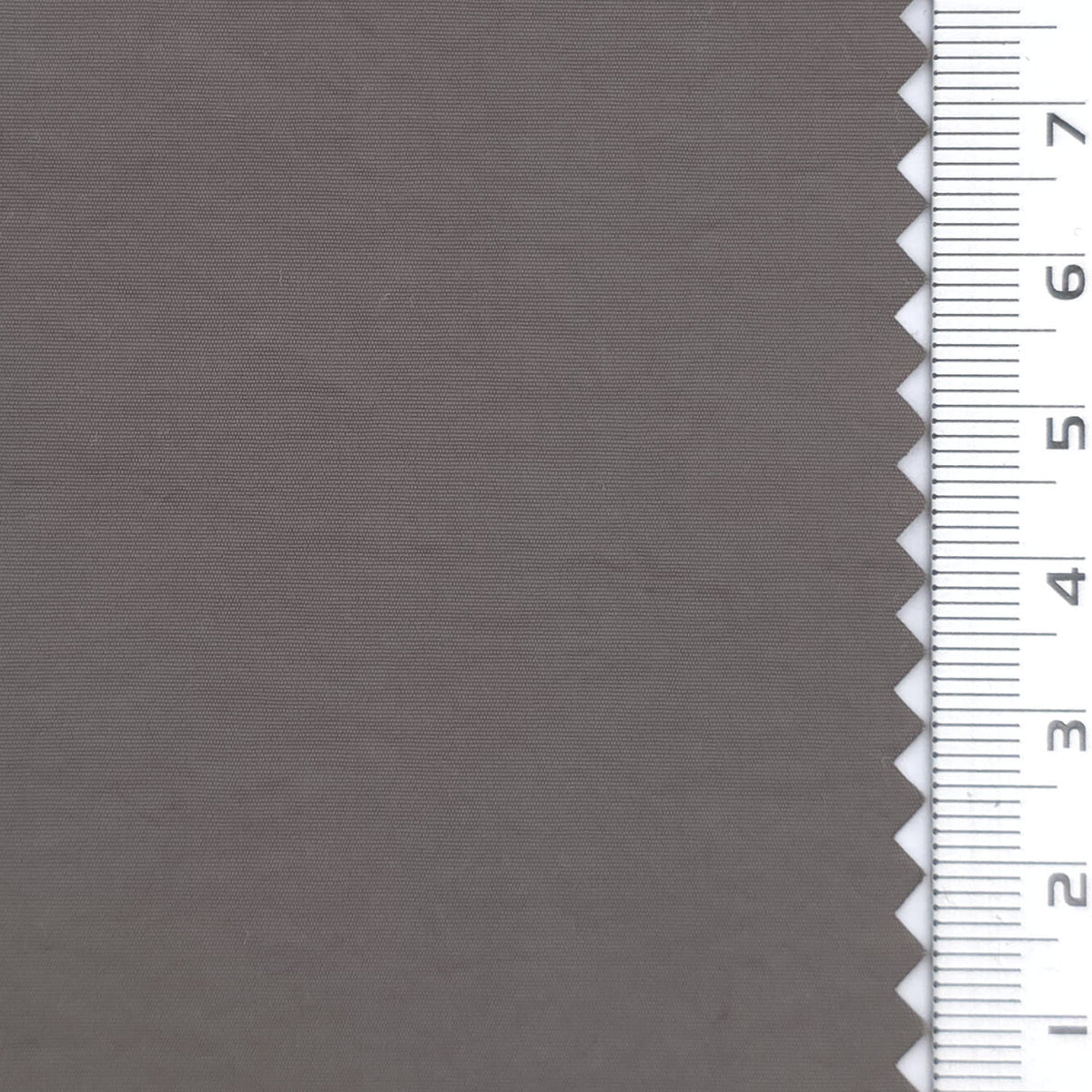 1: Pale Sage Green-2: Light Gray-3: Pale Olive-4: Cream-5: White - Lightweight Crinkle High Density Nylon Woven Fabric - FAB 1939