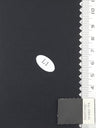 Solid Recycled Nylon Woven Fabric - FAB1707 - 1.Olive-2.Silver-3.Charcoal-4.Ivory-5.Yellow Beige-6.Pink-7.Light Grey-8.Beige-9.Brown-10.Navy 