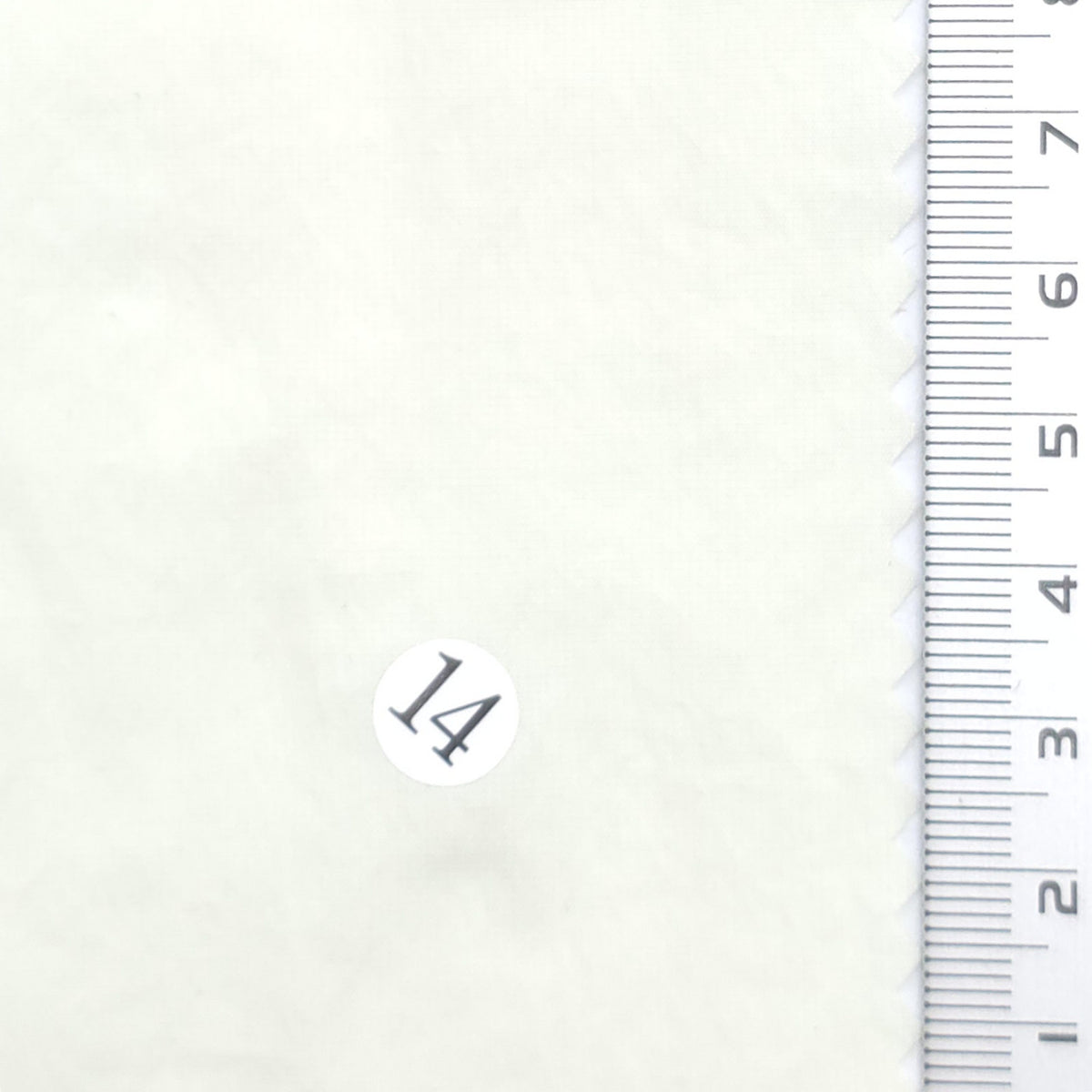 Solid Nylon Spandex Woven Fabric - FAB1964 - Off White