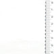 14.White