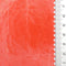 15.Coral