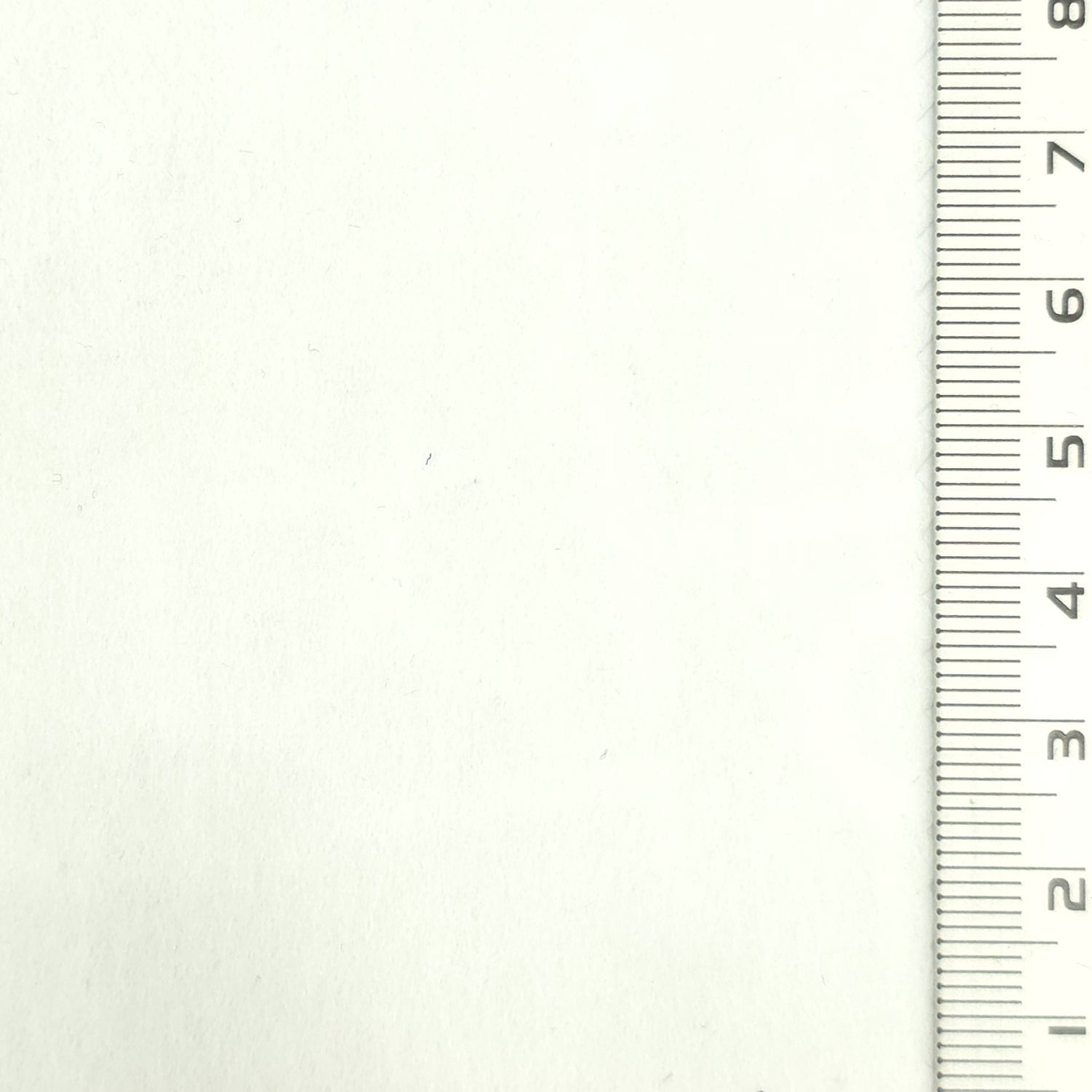 Off-White - Shape-Retaining Smooth 50D Polyester Memory Woven Fabric - FAB 1942