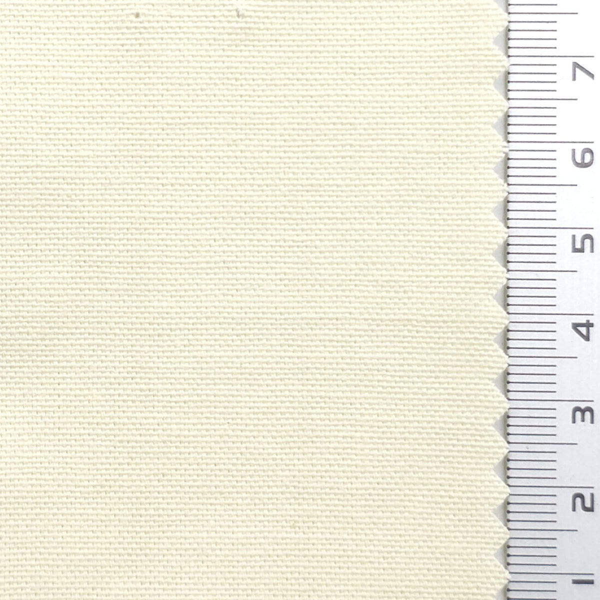 Oxford Cotton Woven Fabric - FAB1984 - Cream