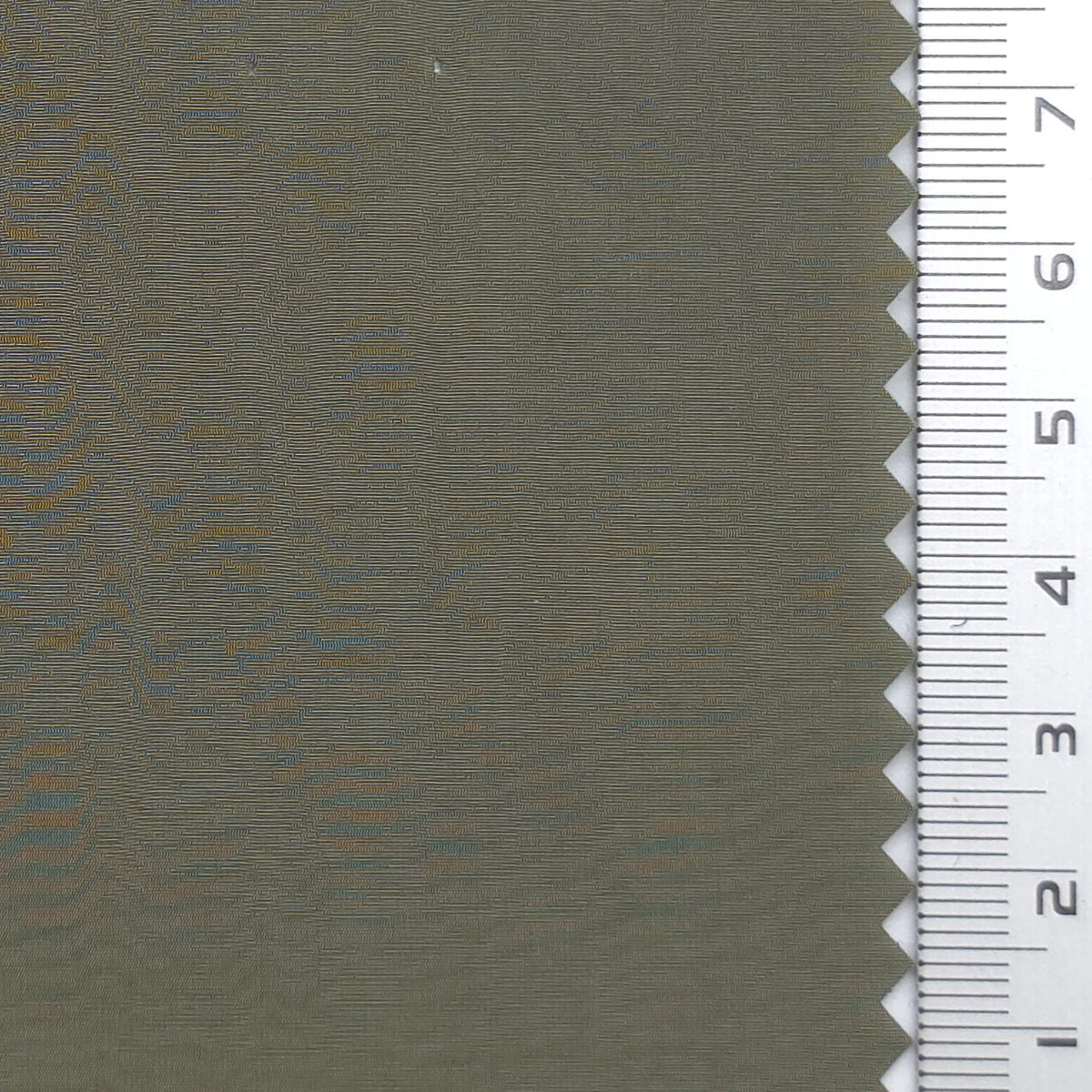 Crinkled Polyamide Woven Fabric - FAB1985 - Olive Gray