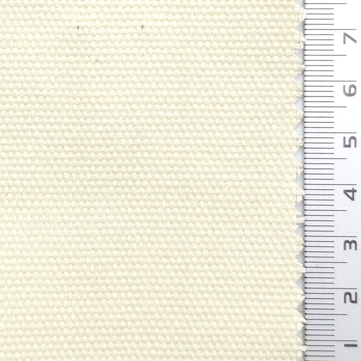 Solid 7 Count Cotton Oxford Woven Fabric - FAB1981 - Ivory