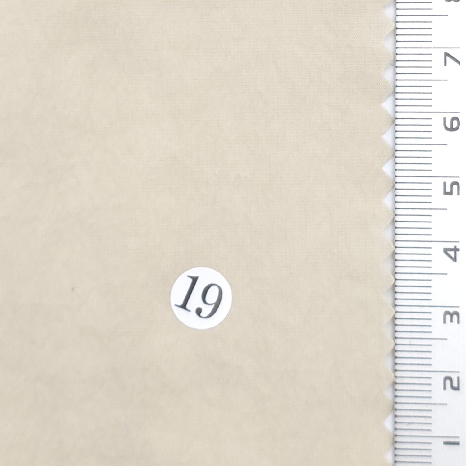 Solid Nylon Spandex Woven Fabric - FAB1964 - Beige