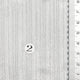 1.White/Silver (2)