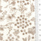 1.Ivory