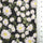 Floral Jacquard YarnDyed Polyester Woven Fabric - FAB1622 - 1.Pink-2.Red-3.Mint-4.Garnet-5.Navy 
