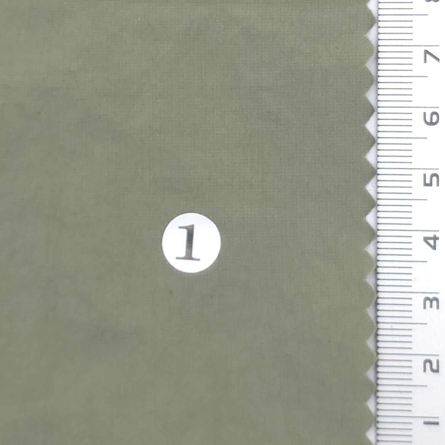 Solid Nylon Spandex Woven Fabric - FAB1964 - Sage Green