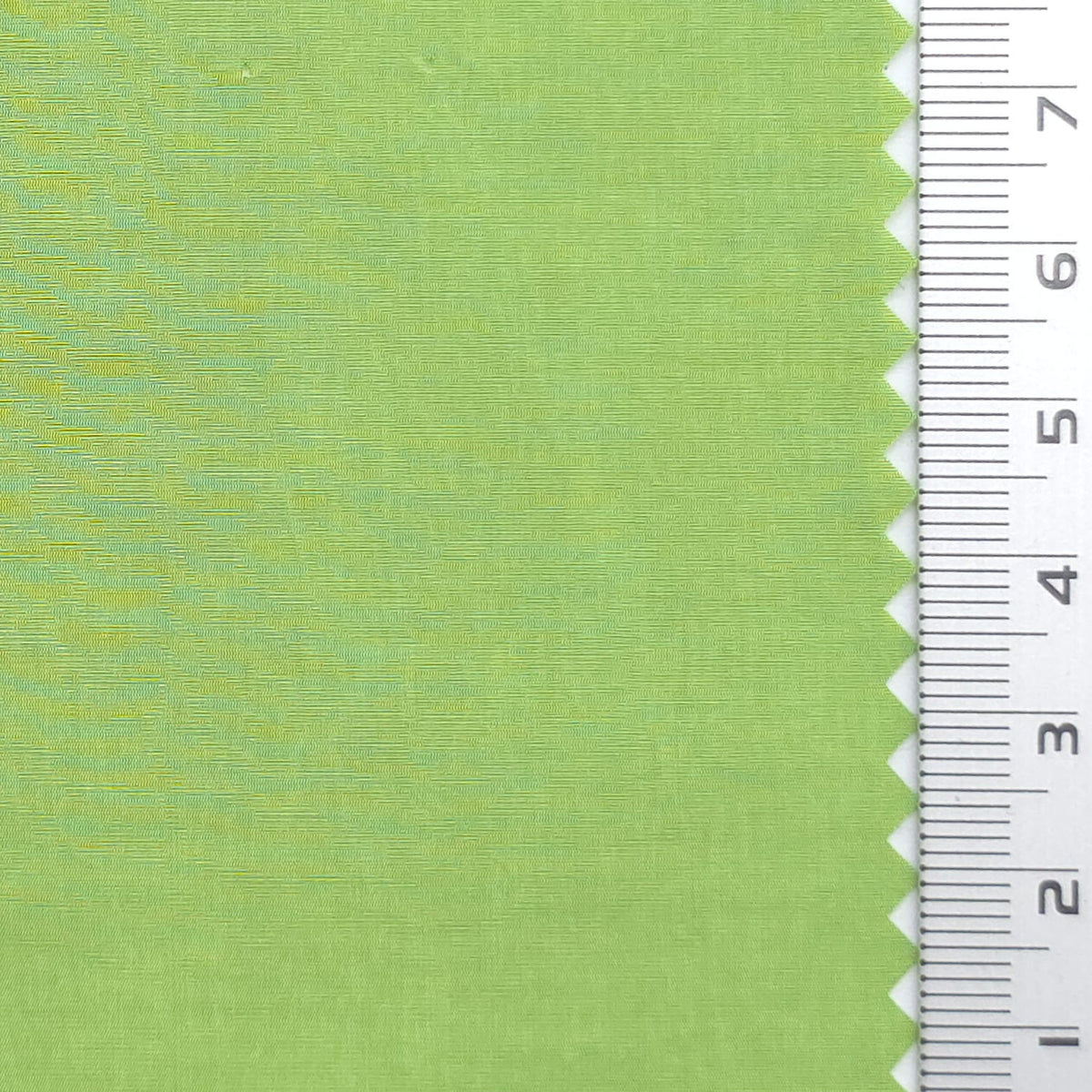 Crinkled Polyamide Woven Fabric - FAB1985 - Light Green