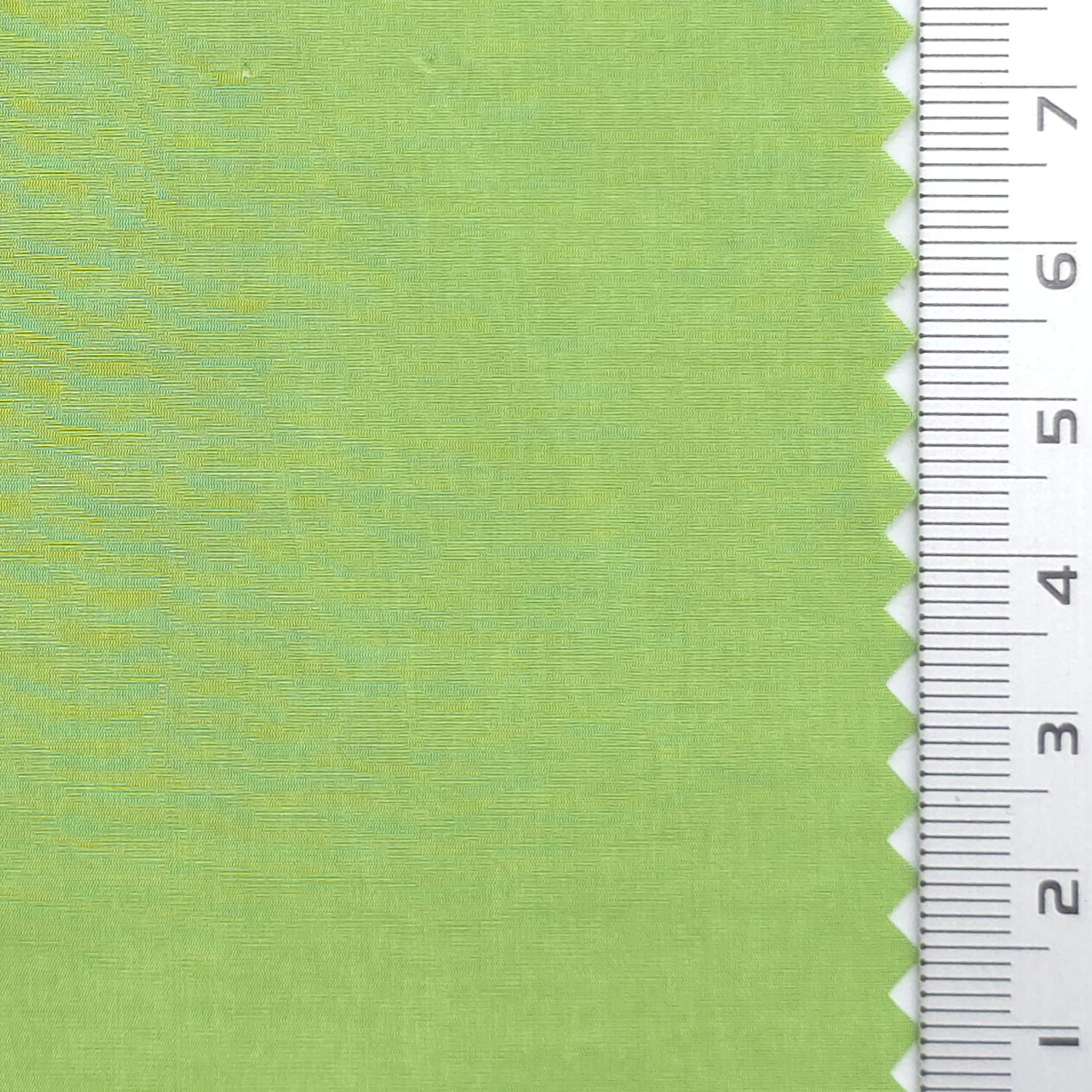 Crinkled Polyamide Woven Fabric - FAB1985 - Light Green