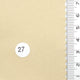 27.Camel