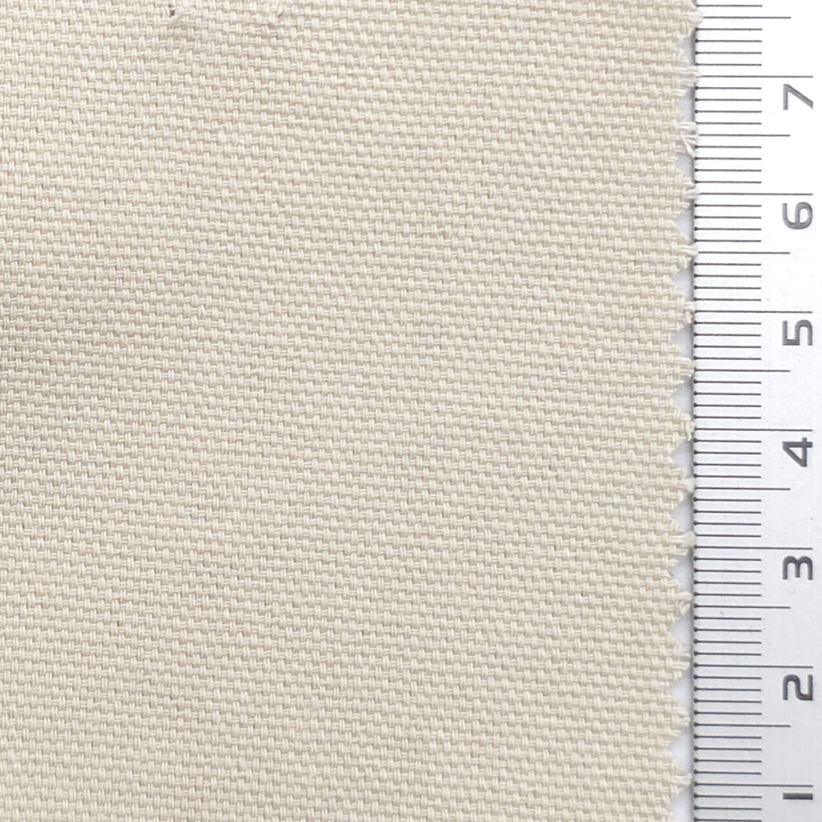 Solid 10 Count Oxford Cotton Woven Fabric - FAB1983 - Cream