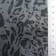 2.Silver (Animal)