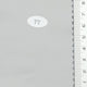 2.SIlver (77)