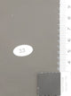 2.Star Dust