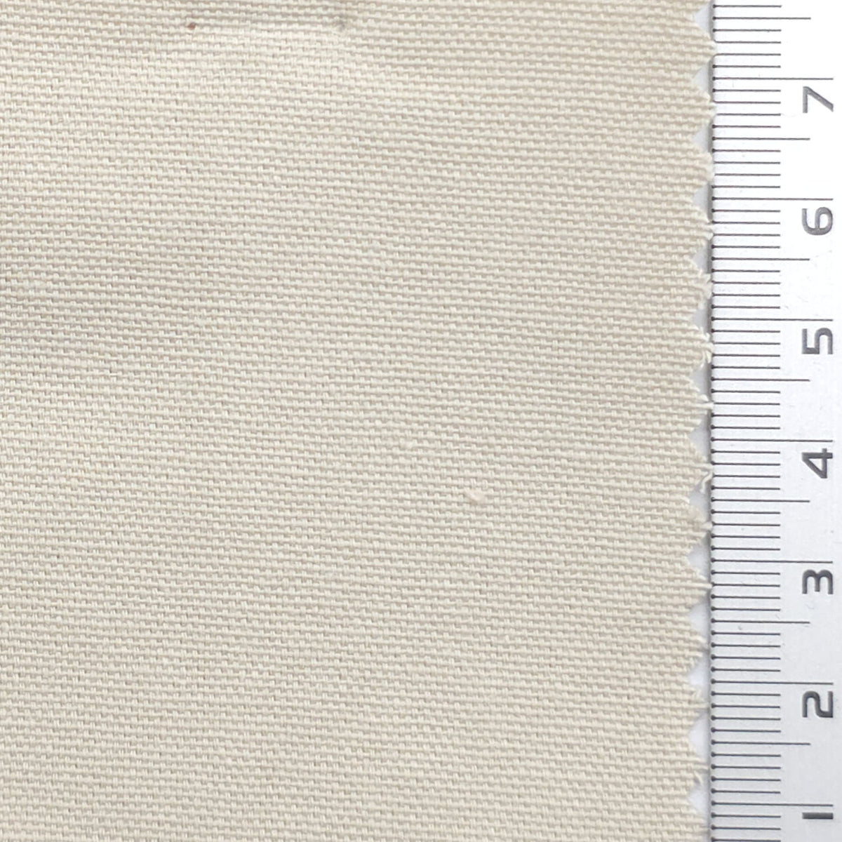 Oxford Cotton Woven Fabric - FAB1984 - Ivory