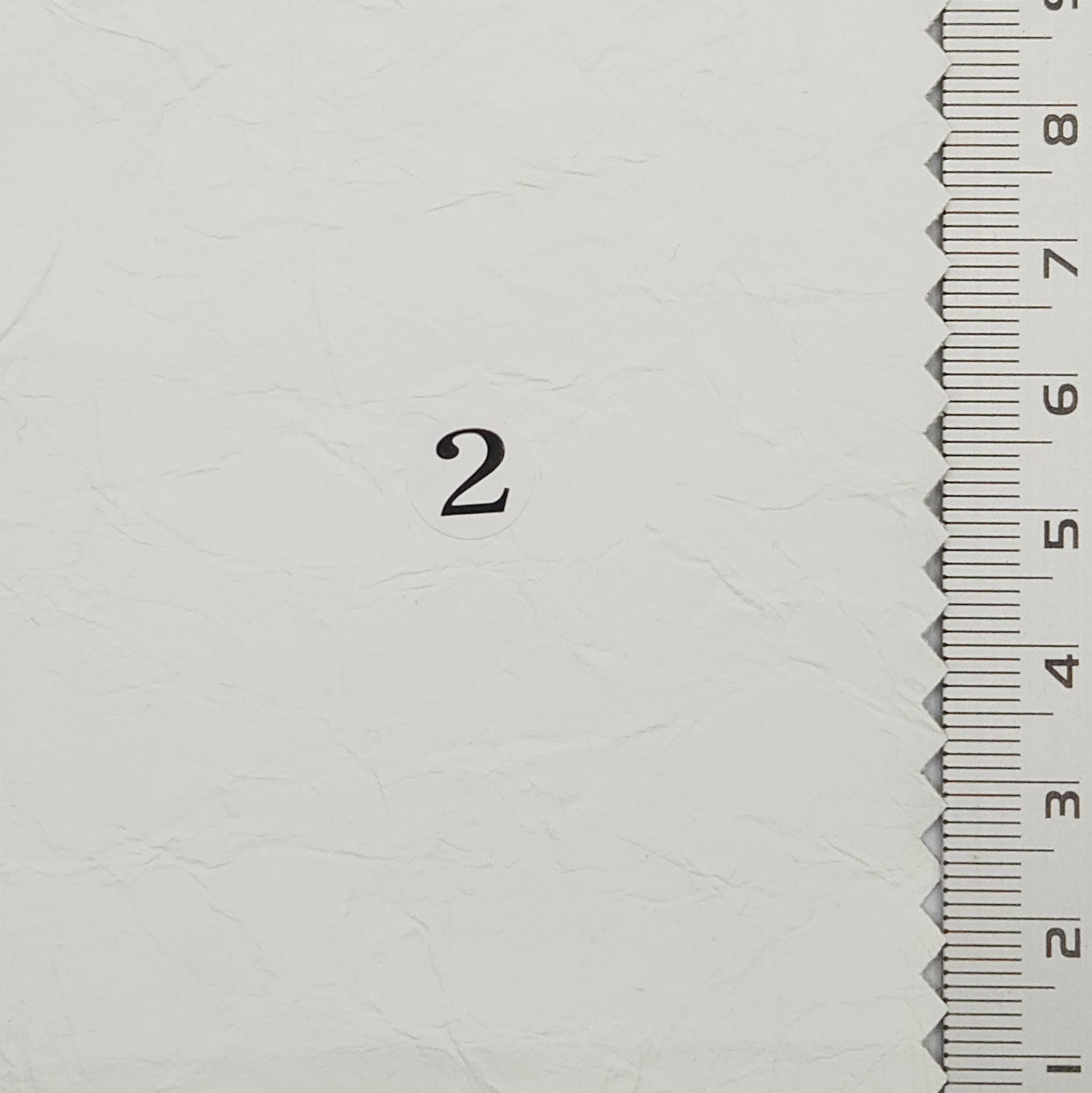 1.Silver-2.Ivory-3.Light beige-4.Light taupe-5.Medium beige - Coated Solid Crease Rayon Polyurethane Woven Fabric - FAB 1770