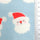 Brushed Santa Claus Print Polyester Rayon Knit Fabric - FAB1612 - 1.Red-2.Mint-3.Pink-4.Ivory-5.Green 