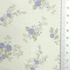 2.Echo Blue