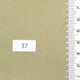 37.Tan