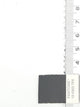 39.White