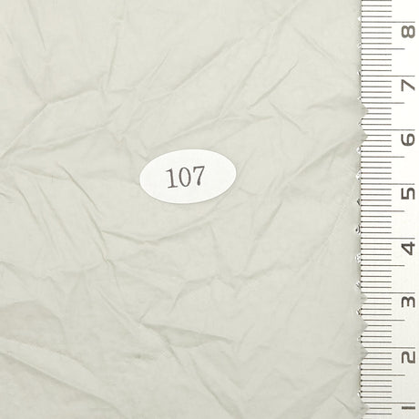 Solid Plain Wrinkle Recycled Nylon Woven Fabric - FAB1706 - 1.Sorrell Brown-2.Coral Leaf-3.Moon Mist-4.Spring Rain-5.N/A-6.N/A-7.Black 