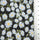 Floral Jacquard YarnDyed Polyester Woven Fabric - FAB1622 - 1.Pink-2.Red-3.Mint-4.Garnet-5.Navy 