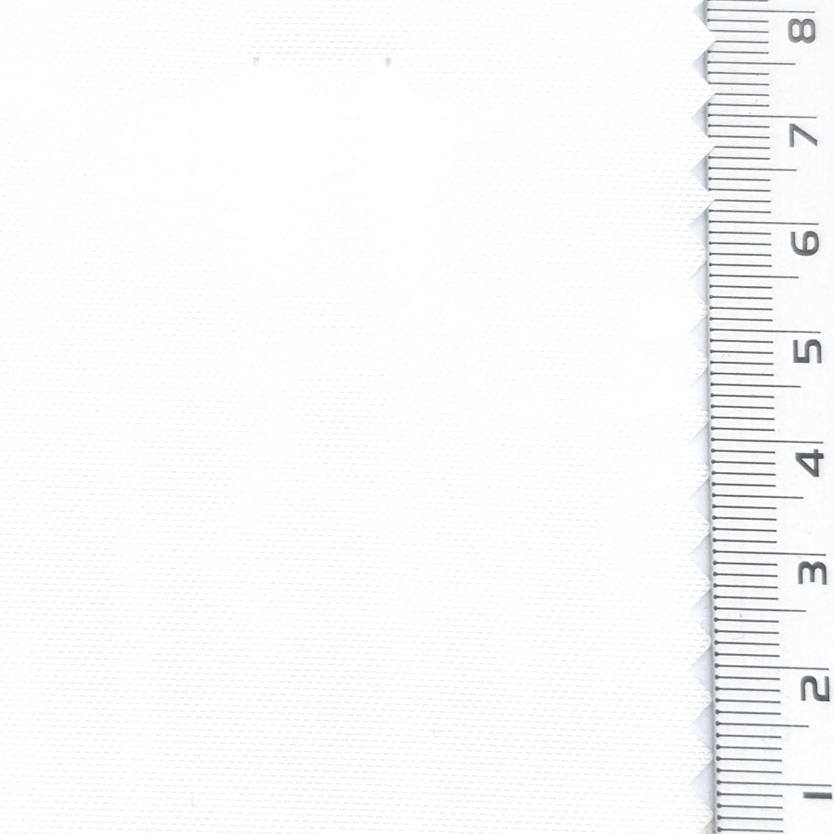 Ivory - Canvas Poly Woven Fabric - FAB1883