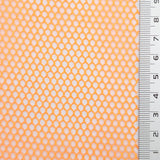 Nylon(100/24) Mesh Fabric - FAB1131