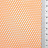 Nylon(100/24) Mesh Fabric - FAB1131