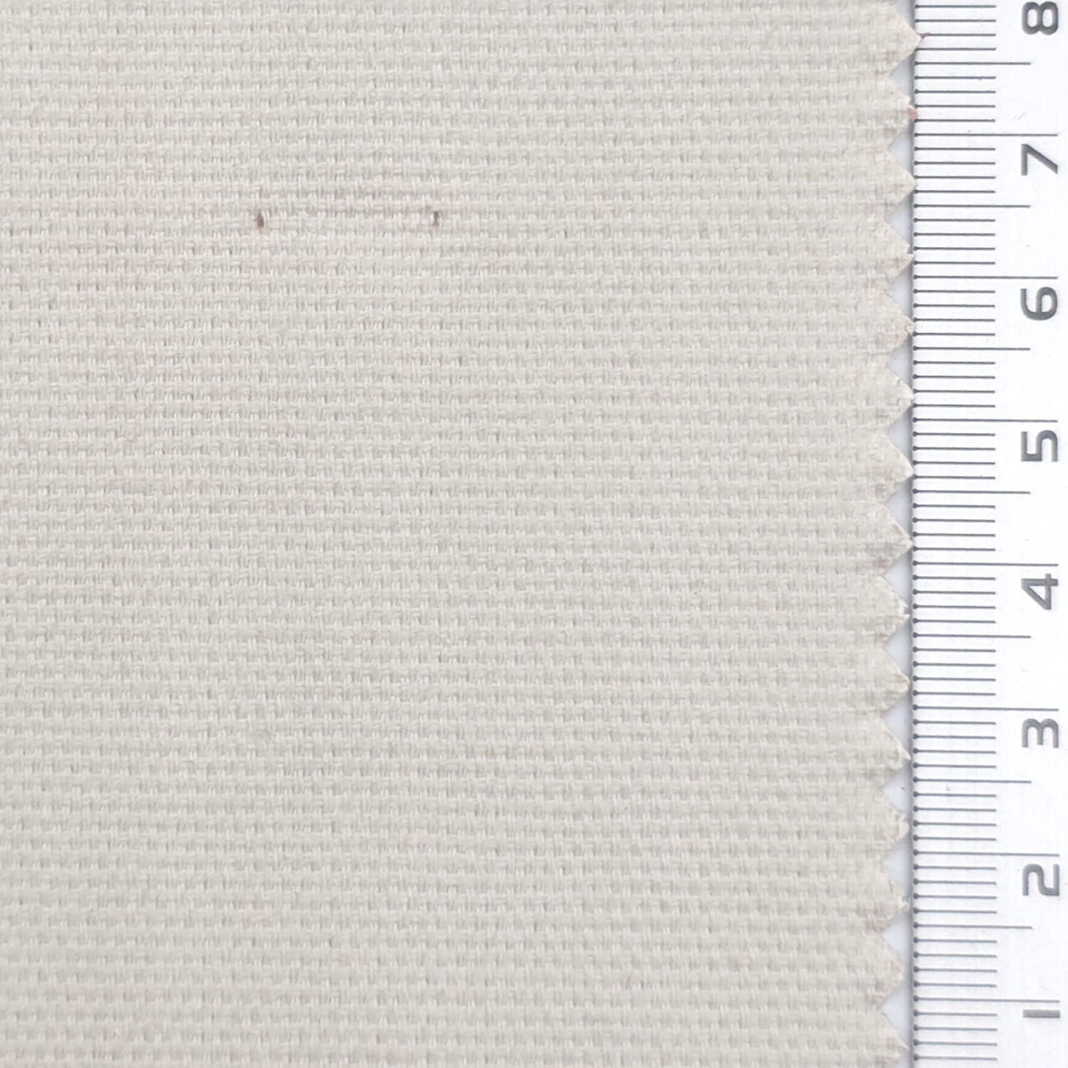 Oxford Cotton Woven Fabric - FAB1956 - Ivory