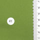 41.Lime