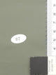4.Lemon Grass