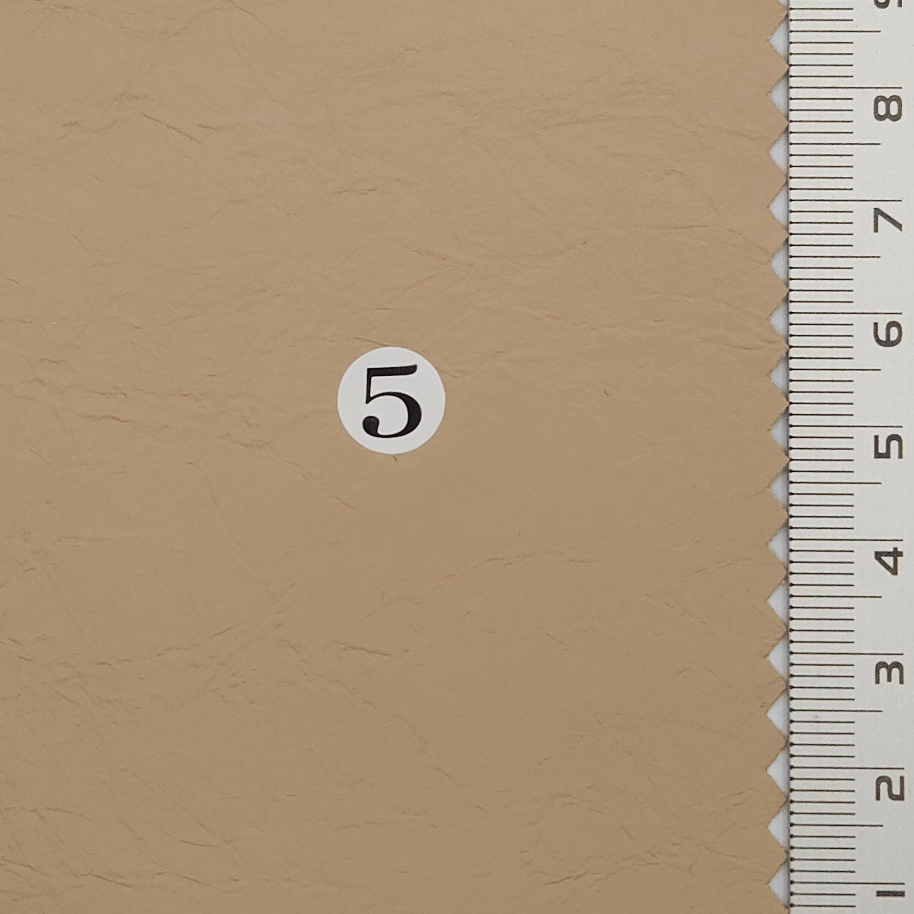 1.Silver-2.Ivory-3.Light beige-4.Light taupe-5.Medium beige - Coated Solid Crease Rayon Polyurethane Woven Fabric - FAB 1770