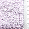 5: Light Purple