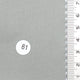 61.Silver