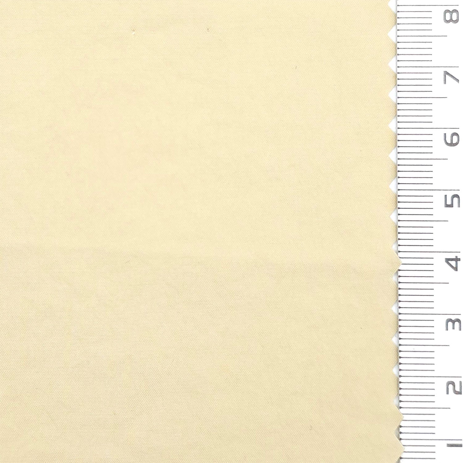 Water Repellent Memory Stretch Nylon Span Woven Fabric - FAB 1823 - 6.Beige